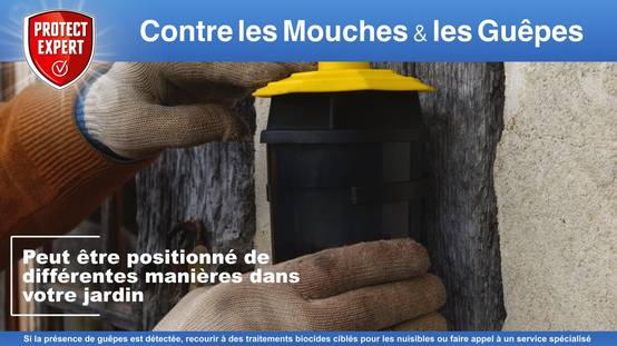 Protect Expert - Piège guêpes frelons mouches - PROTECT EXPERT - Image 6