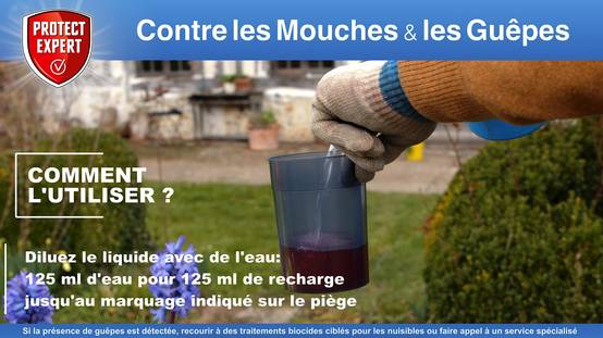 Protect Expert - Piège guêpes frelons mouches - PROTECT EXPERT - Image 2