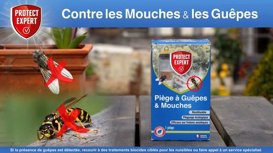 Protect Expert - Piège guêpes frelons mouches - PROTECT EXPERT - Image 9