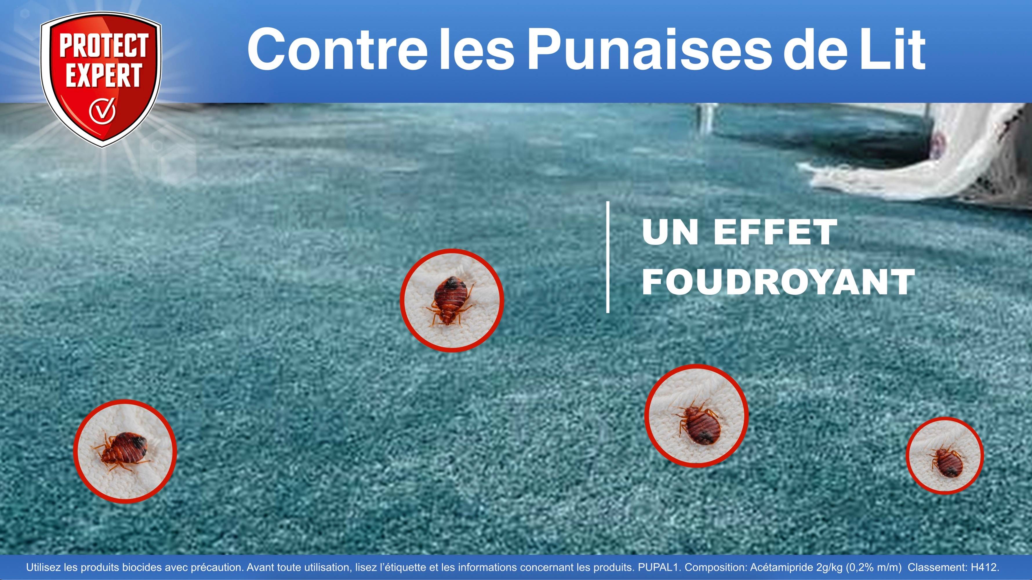 Protect Expert - Anti-punaises de lit - PROTECT EXPERT - Imagen 6