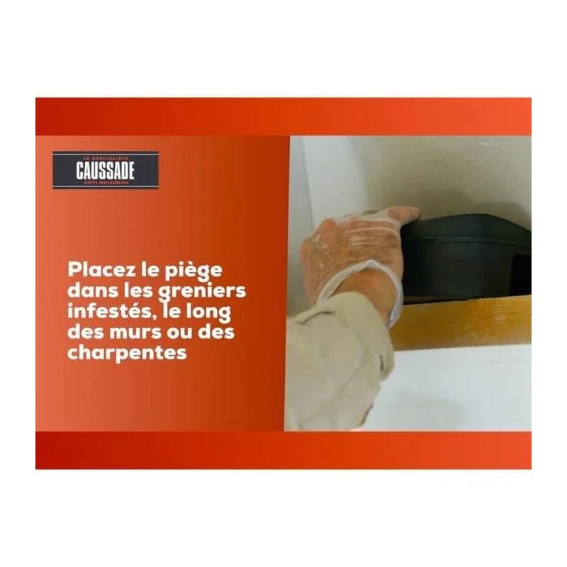 Caussade - Appâts anti-nuisibles rats et souris cereales 150 g - Caussade - Imagen 3