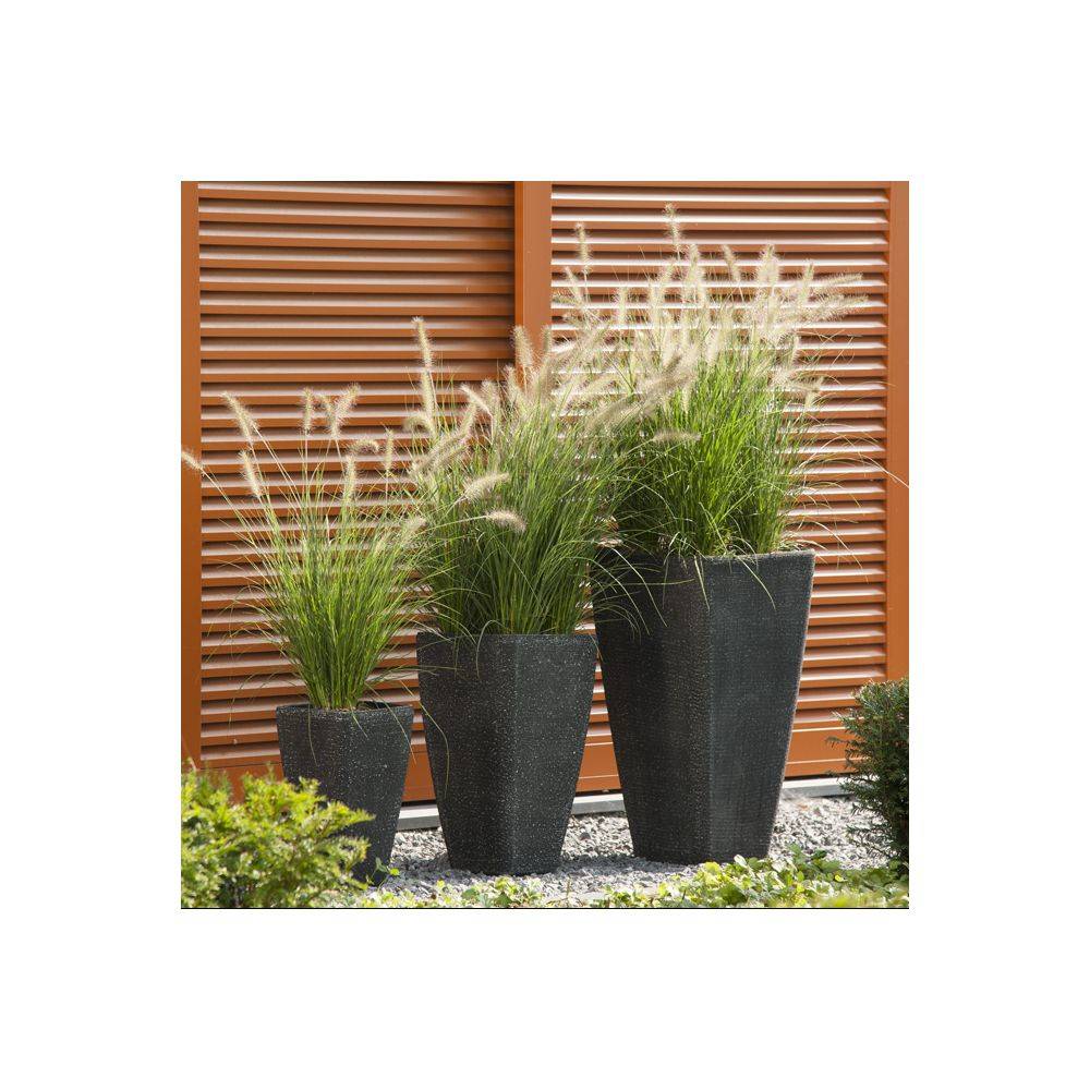 Pennisetum alopecuroides 'Little Bunny' - Graminée Herbe aux écouvillons - Image 6