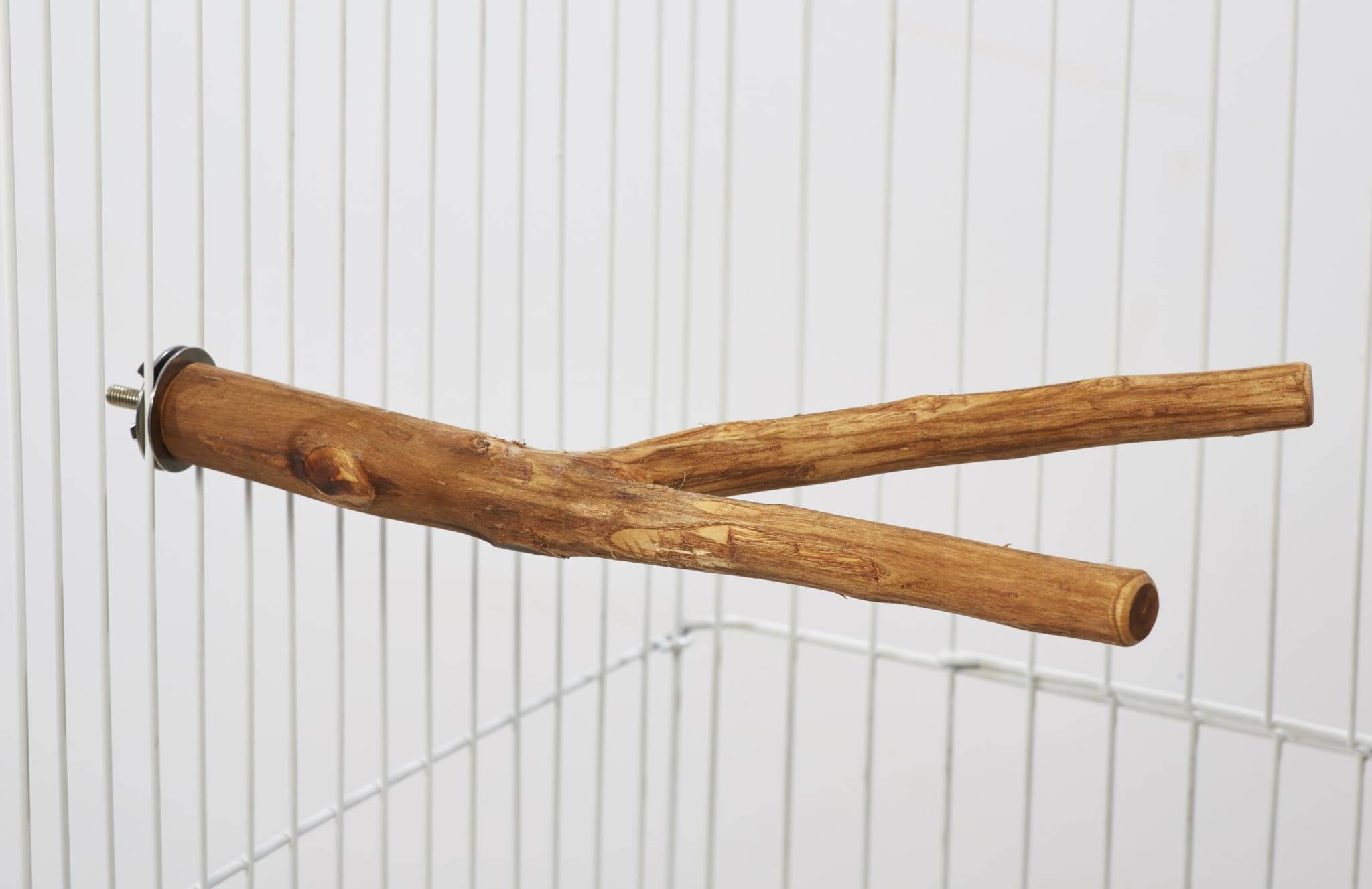Perchoir double bois calopsittes inséparables L 30 x l 18 x D 3 cm - UNITED BIRD