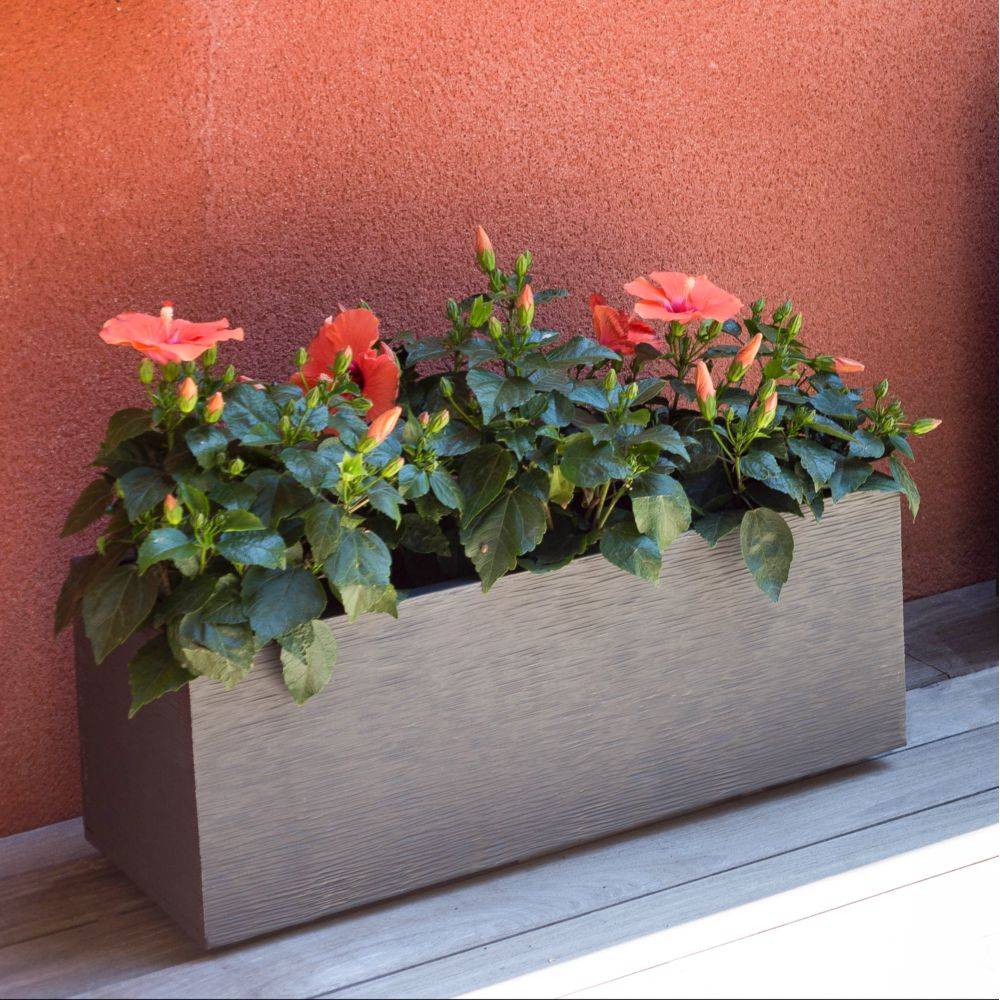 Jardinière Polypropylène Graphit'Up - EDA - Imagen 5