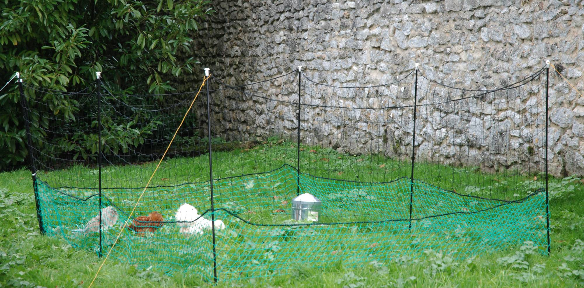 Filet enclos pour poules H 125 cm L 21 m - LIFLAND