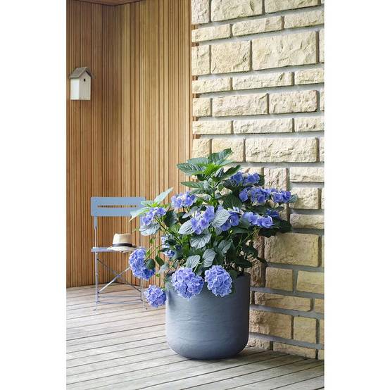 Pot De Fleurs Rond Plastique - EDA - Image 2