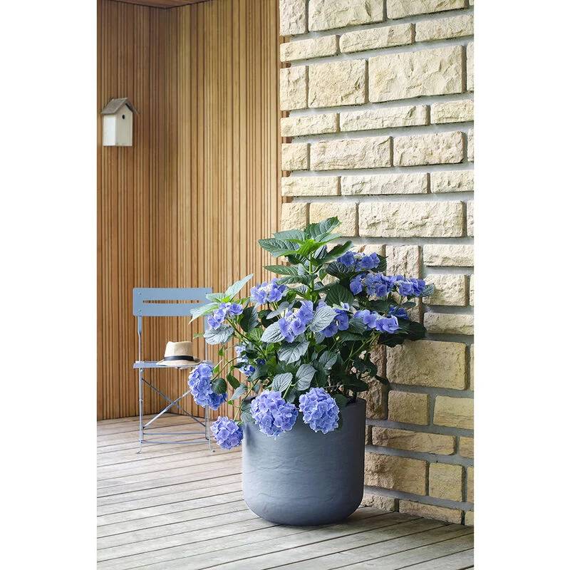 Pot De Fleurs Rond Plastique - EDA - Image 2