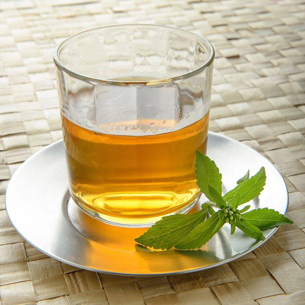 Stevia rebaudiana - Prêt à consommer - Image 15