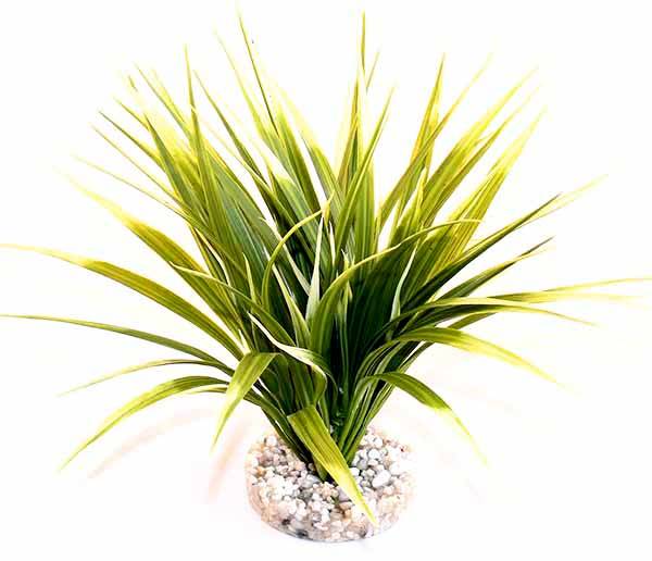 Herbe tropicale décoration plantes – TYROL - Image 2