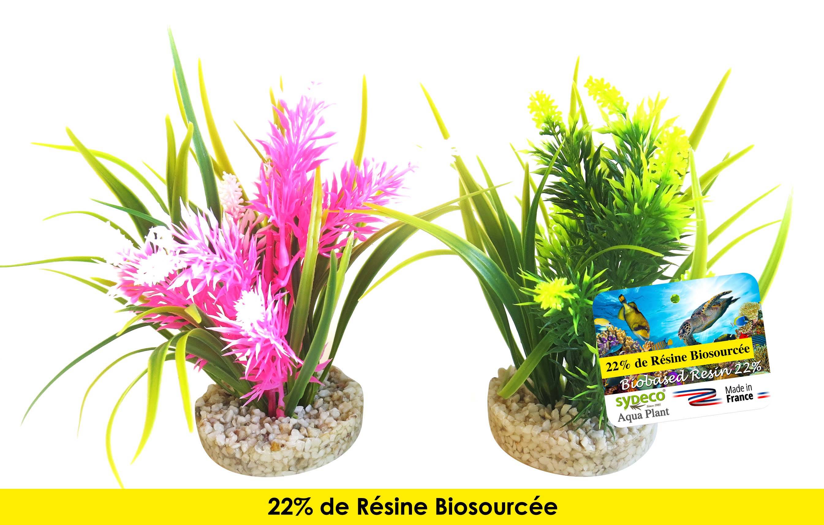 Décoration d'Aquarium - SYDECO - Image 1