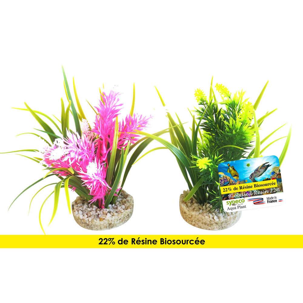 Décoration d'Aquarium - SYDECO - Image 3