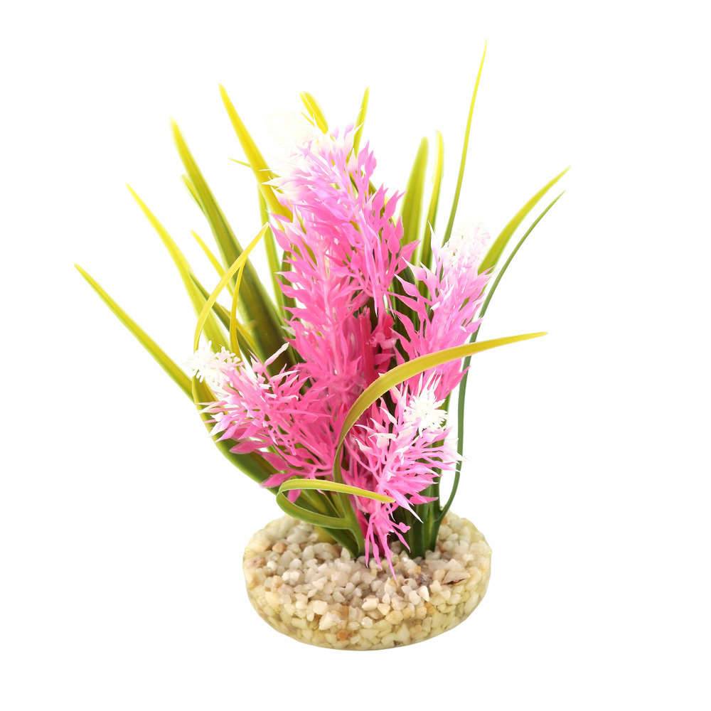 Décoration d'Aquarium - SYDECO - Image 2