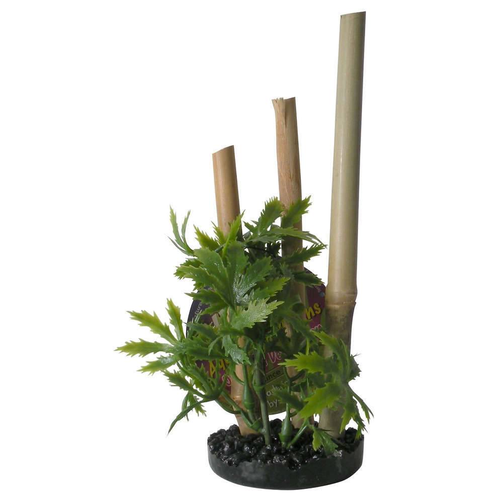 Bambou Plante Aquarium - TYROL - Image 3