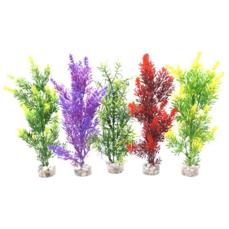 Buisson Large Aquarium – TYROL