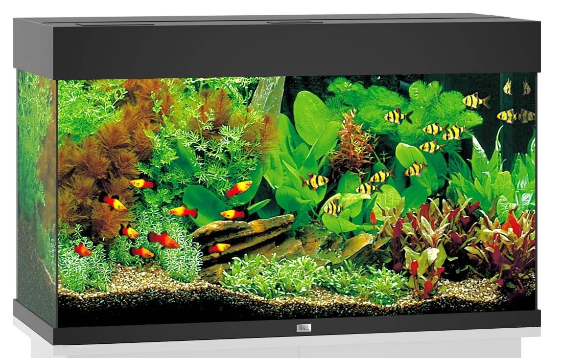 Aquarium LED Noir 125 L – JUWEL - Imagen 1