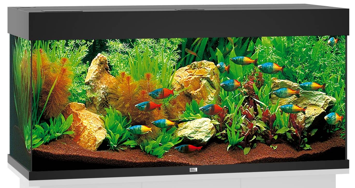 Aquarium LED Noir RIO – JUWEL