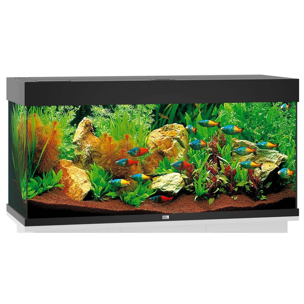 Aquarium LED Noir RIO – JUWEL - Imagen 2