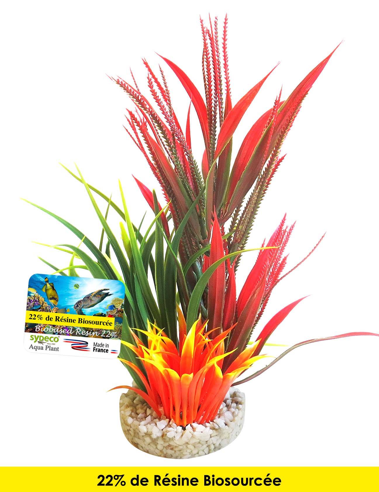 Plantes + Support Sable Naturel Pour Aquarium - TYROL
