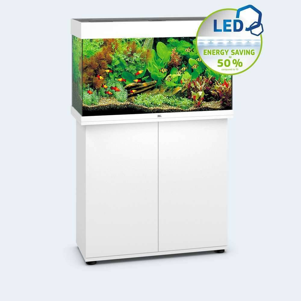 Meuble pour Aquarium Bois Blanc - JUWEL - Image 4