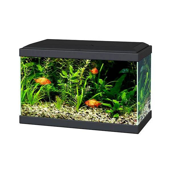 Acuario Aqua 20LED Negro 17 L – CIANO - Imagen 1
