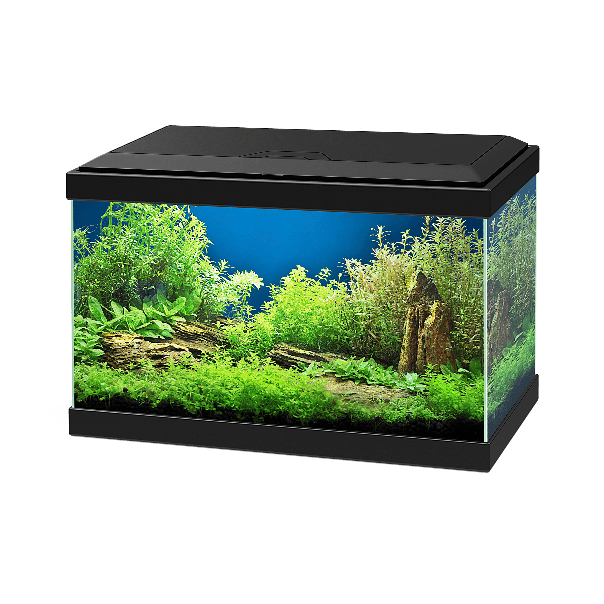 Acuario Aqua 20LED Negro 17 L – CIANO - Imagen 2