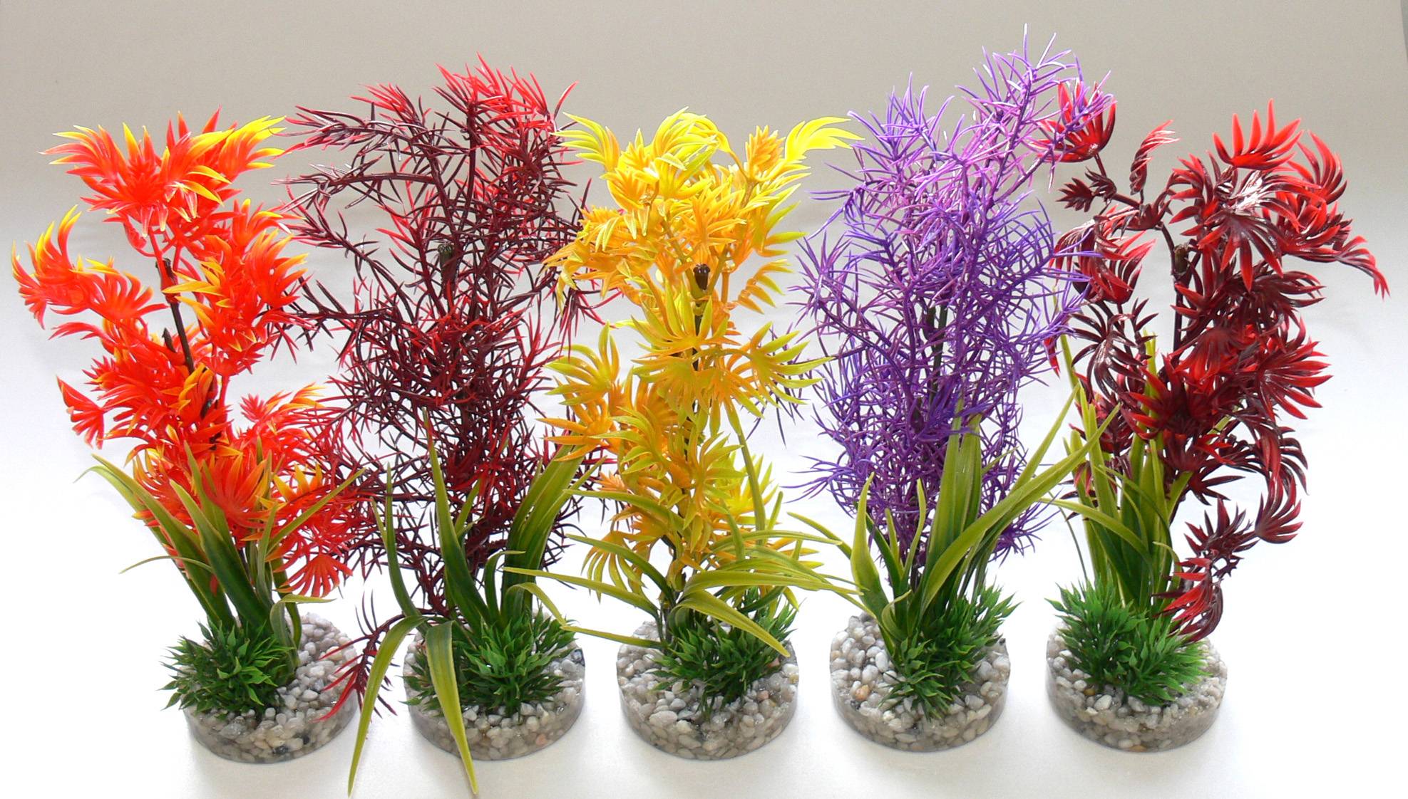 Cocktail Plant Aquarium - TYROL