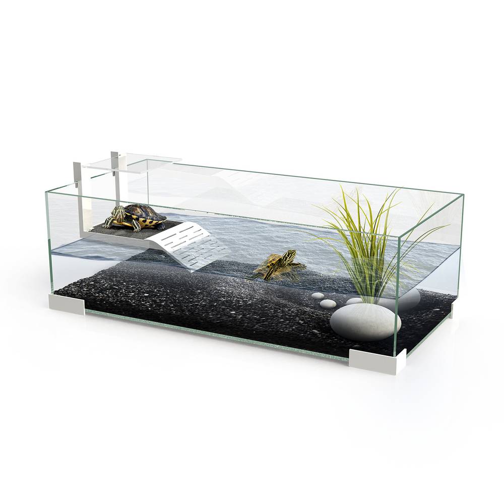 Tartarium Verre Blanc - CIANO