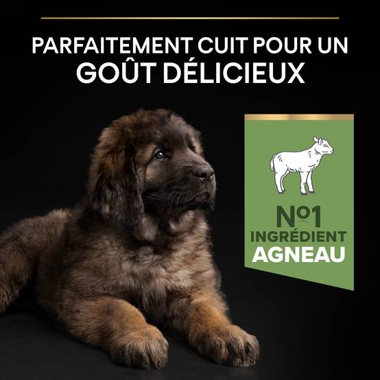 Purina Pro Plan - Croquettes chiot Digestion Difficile Agneau 12 kg - PRO PLAN - Image 12