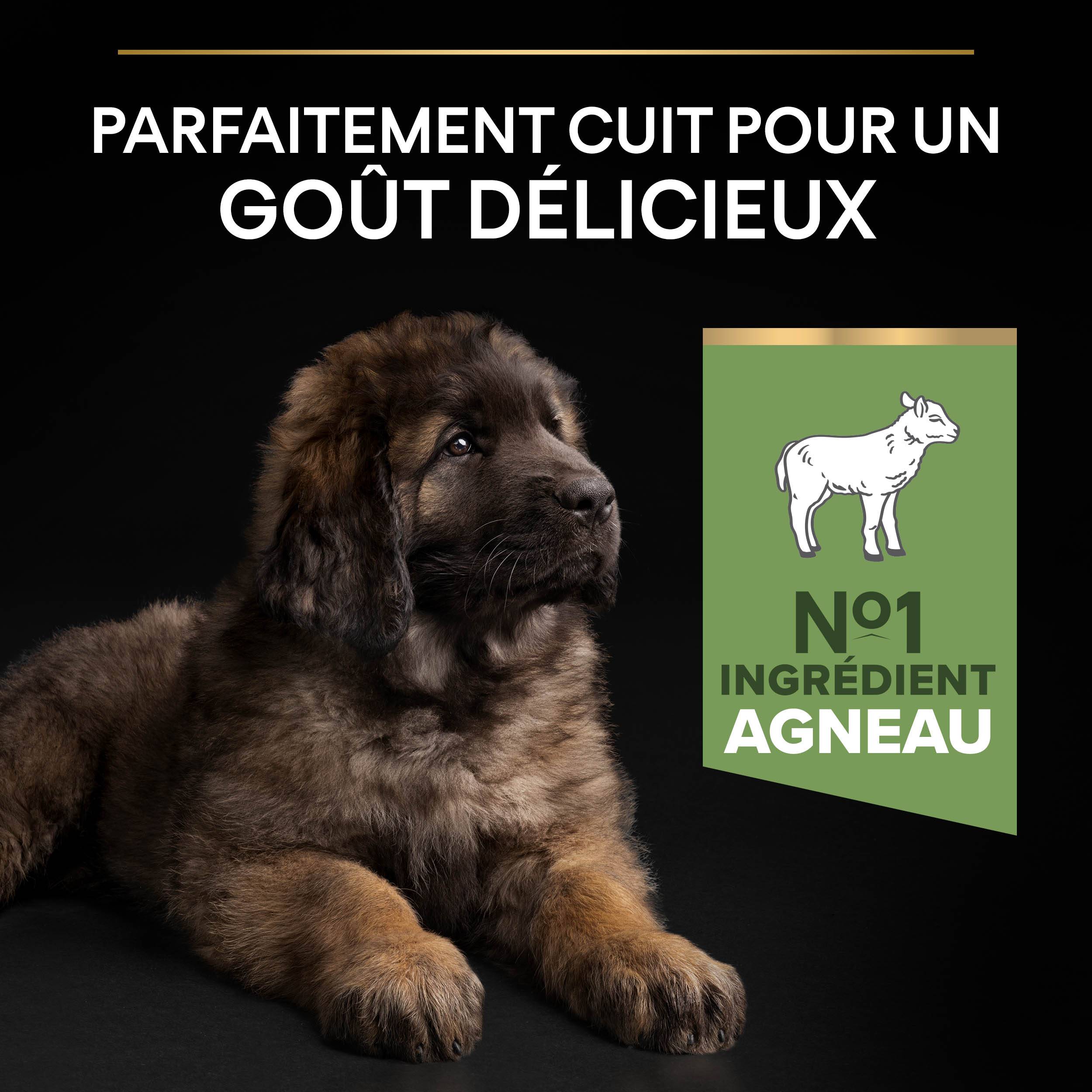 Purina Pro Plan - Croquettes chiot Digestion Difficile Agneau 12 kg - PRO PLAN - Image 12