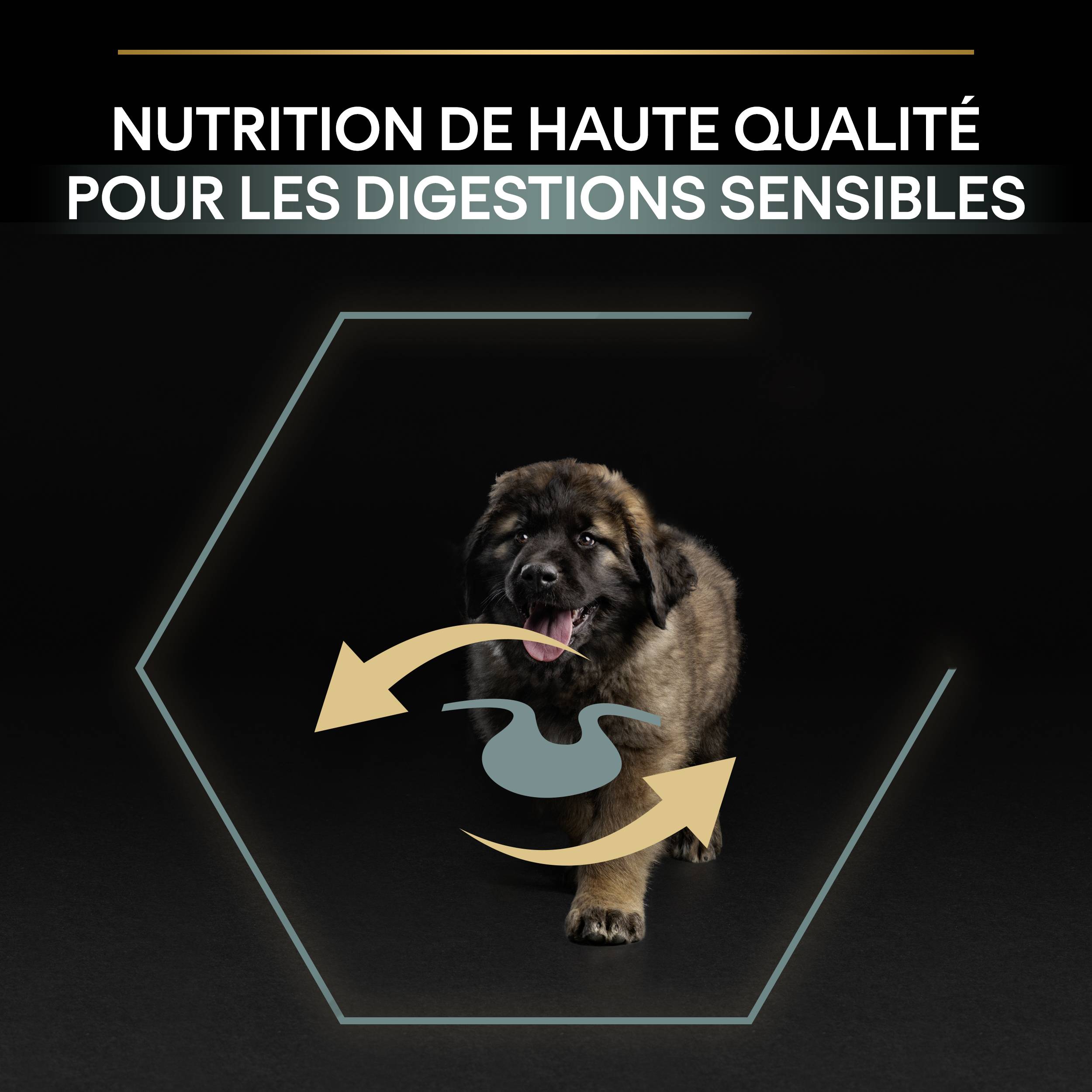 Purina Pro Plan - Croquettes chiot Digestion Difficile Agneau 12 kg - PRO PLAN - Image 2