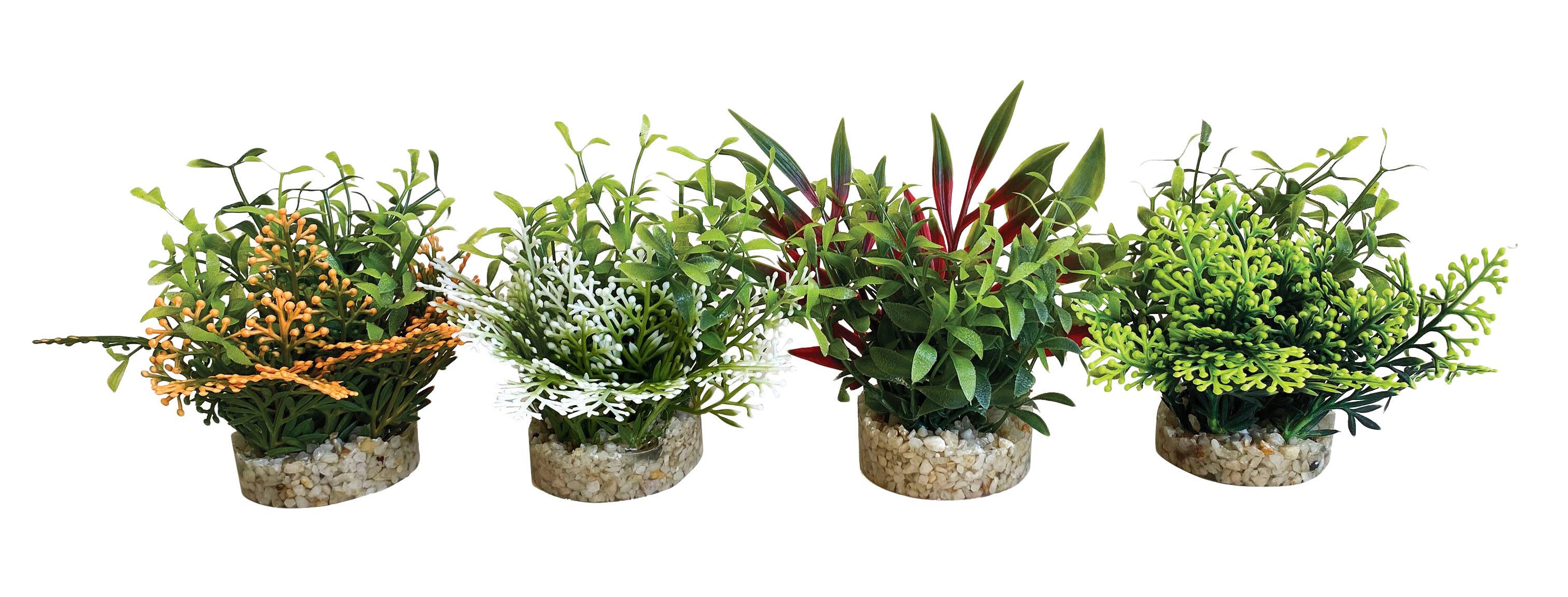 Plantas Decoración + Soporte - TYROL