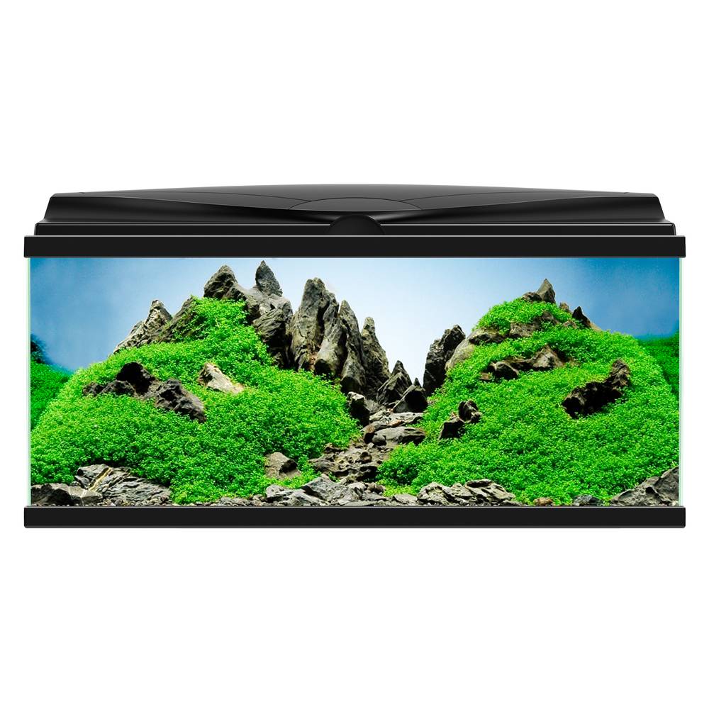 Aquarium Poissons Eau Douce Eau Froide LED Noir 74 L - CIANO - Image 2