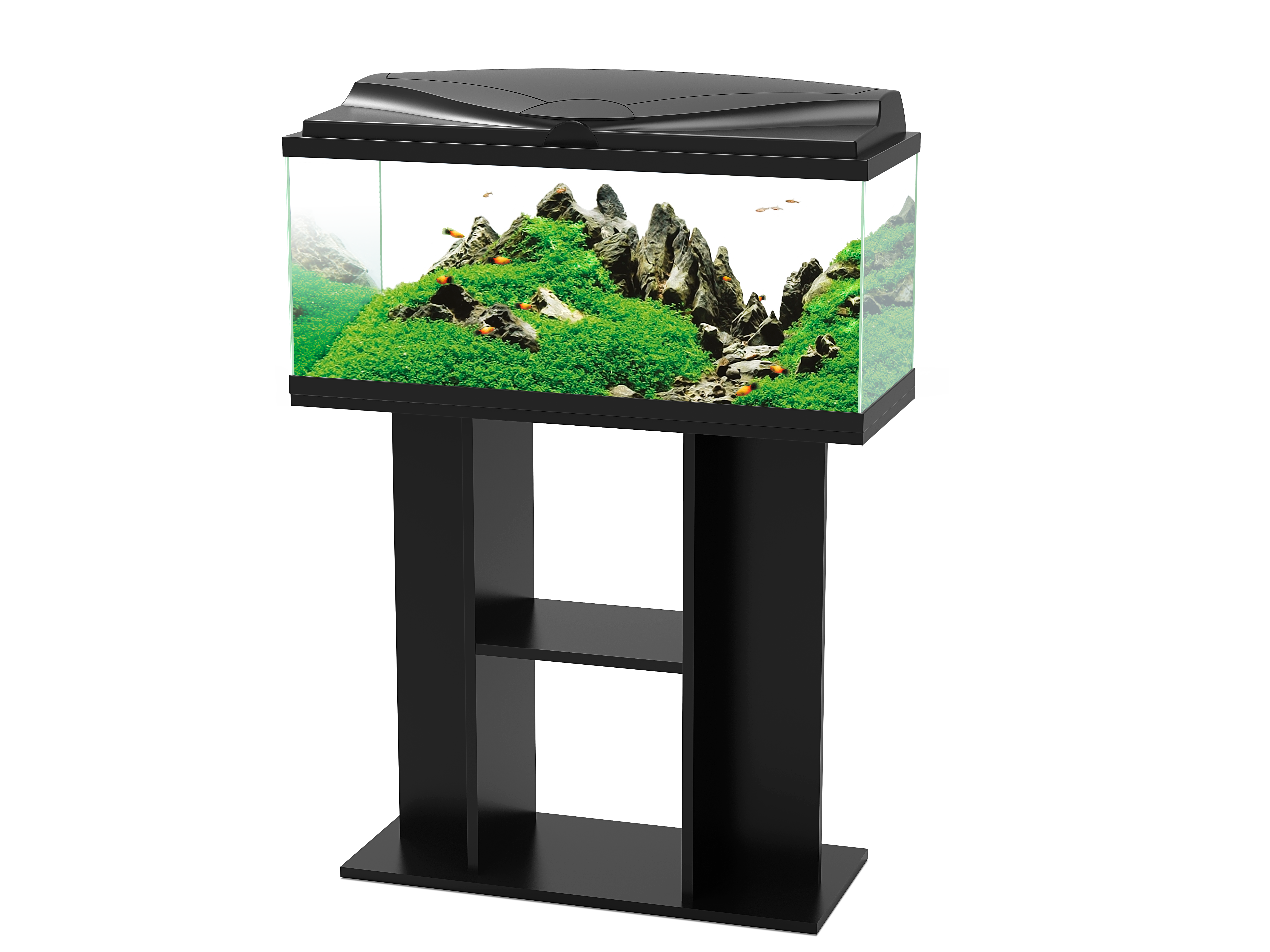 Aquarium Poissons Eau Douce Eau Froide LED Noir 74 L - CIANO - Image 3