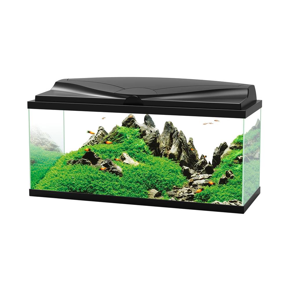 Aquarium Poissons Eau Douce Eau Froide LED Noir 74 L - CIANO - Image 1
