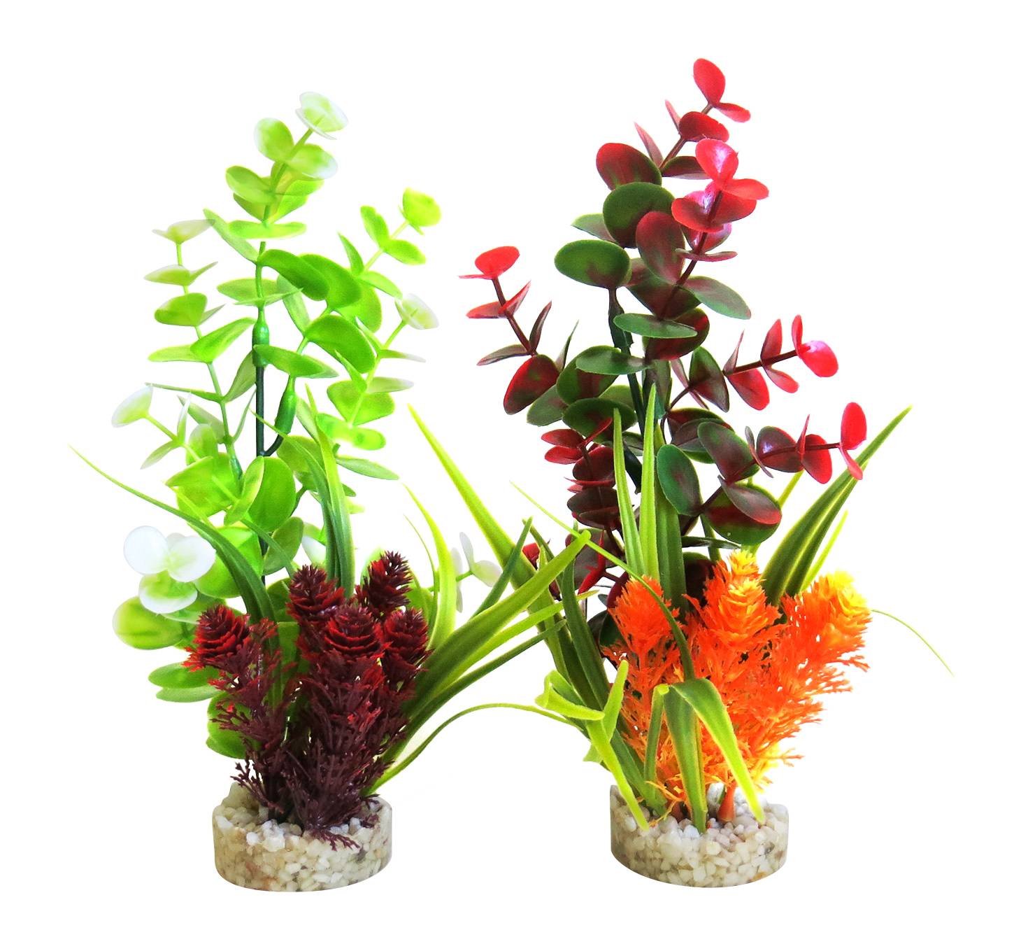 Composition Eucalyptus Aquarium - SYDECO