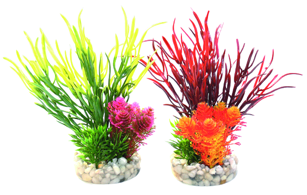 Composition Sea Grass Pour Aquarium - TYROL