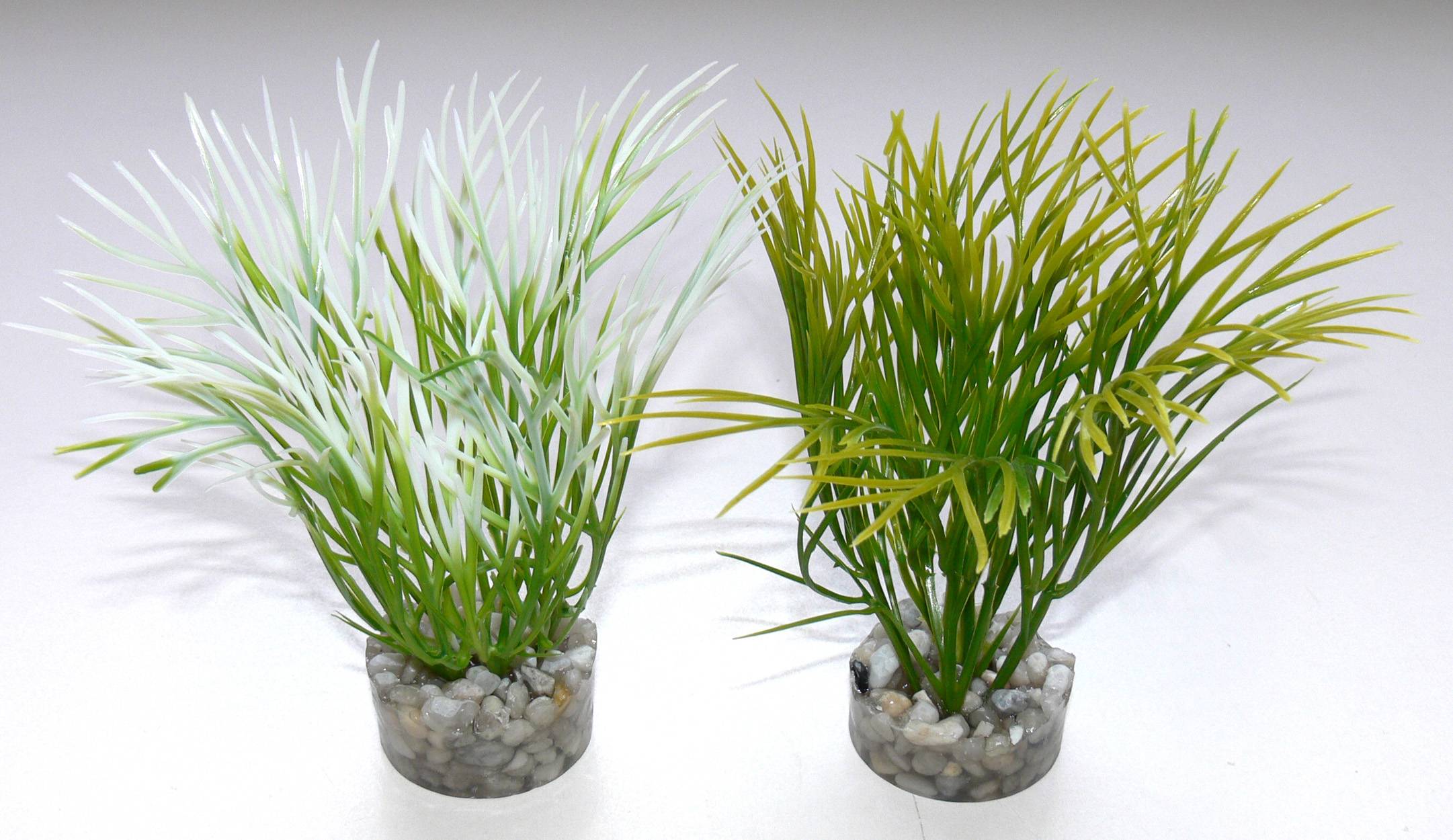 Plante Verte Pour Aquarium - SYDECO - Image 1