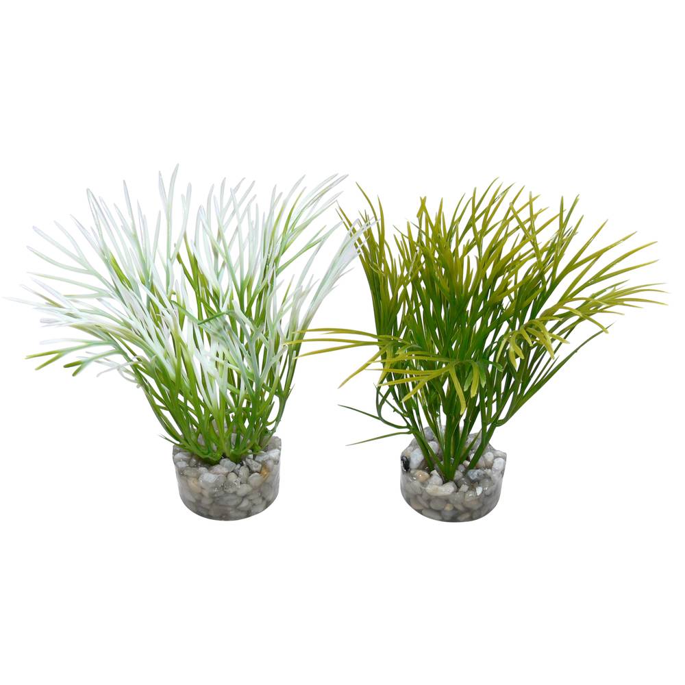 Plante Verte Pour Aquarium - SYDECO - Image 2