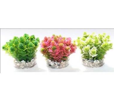Mousse Amazone Aquarium - TYROL - Imagen 1