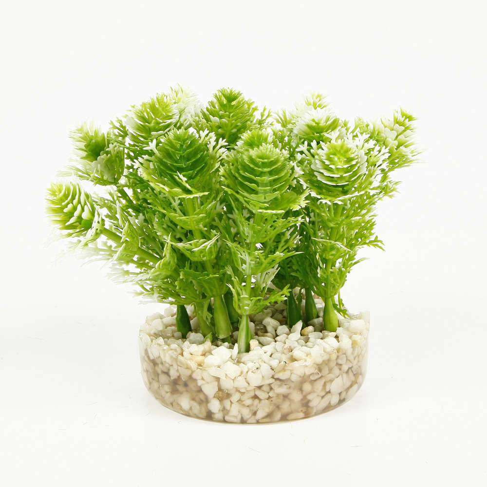 Mousse Amazone Aquarium - TYROL - Imagen 3