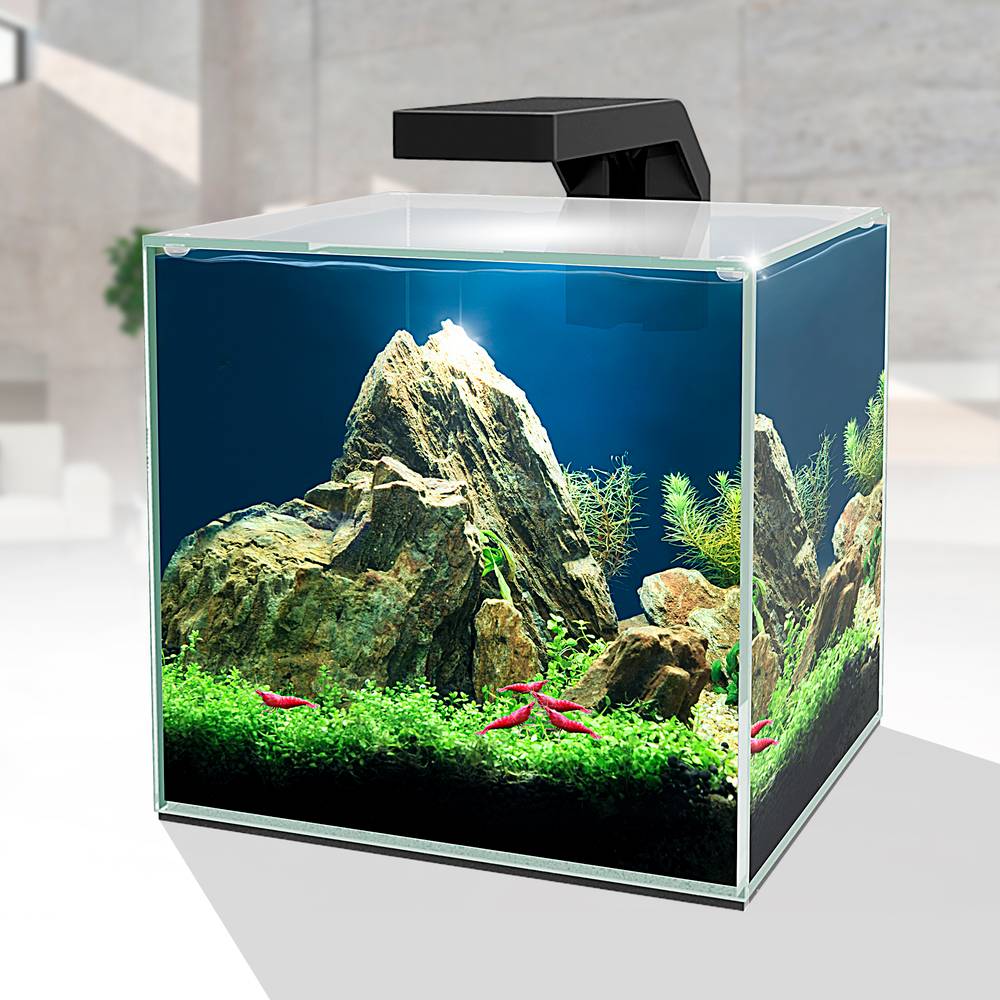 Ciano - Aquarium Cube Verre Transparent 14L – CIANO