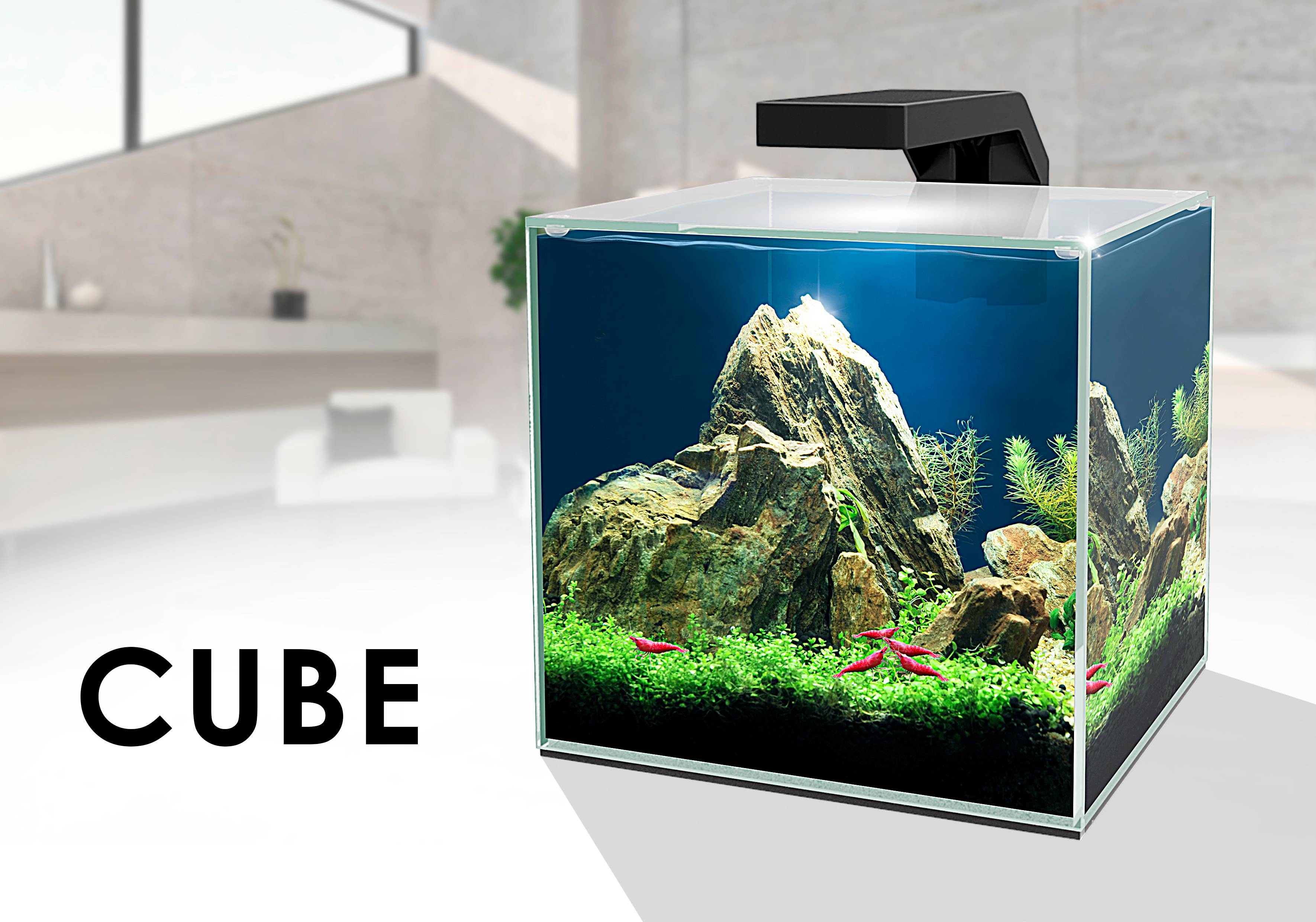 Ciano - Aquarium Cube Verre Transparent 14L – CIANO - Image 3