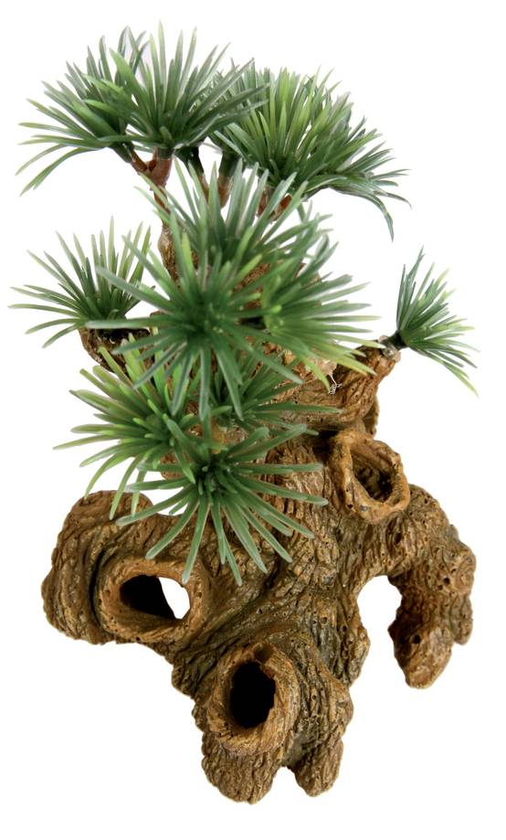 Zolux - Décor Bonsaï Nano - ZOLUX - Image 1