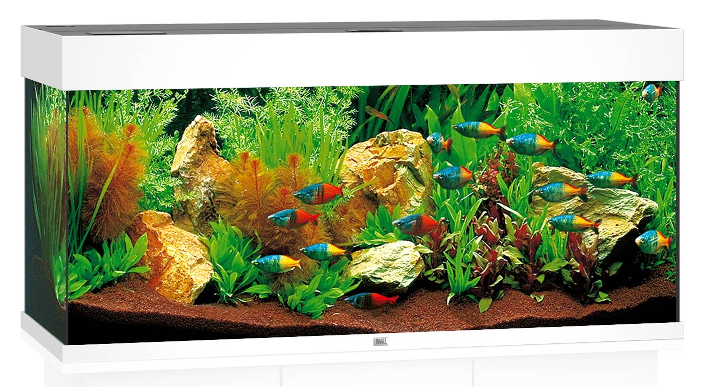 Aquarium LED RIO 180 L JUWEL