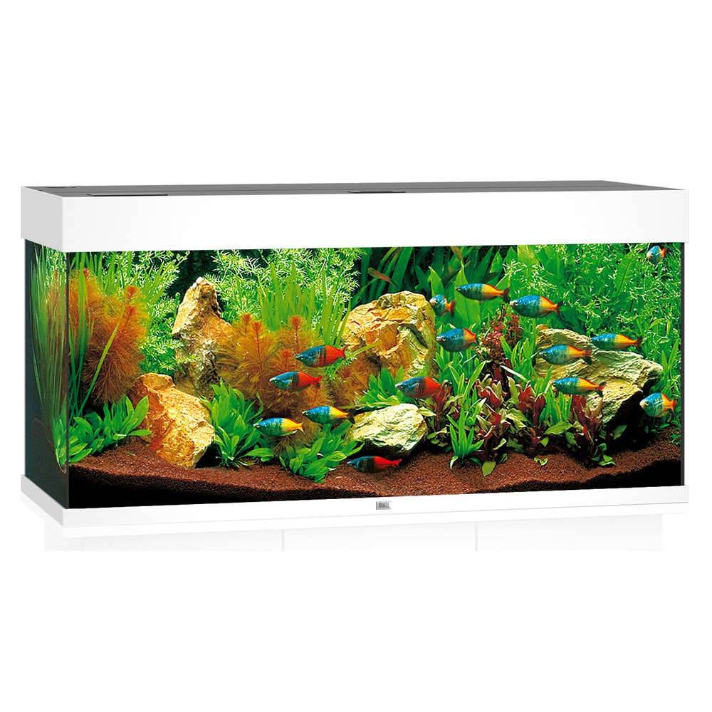 Aquarium LED RIO 180 L JUWEL - Imagen 2