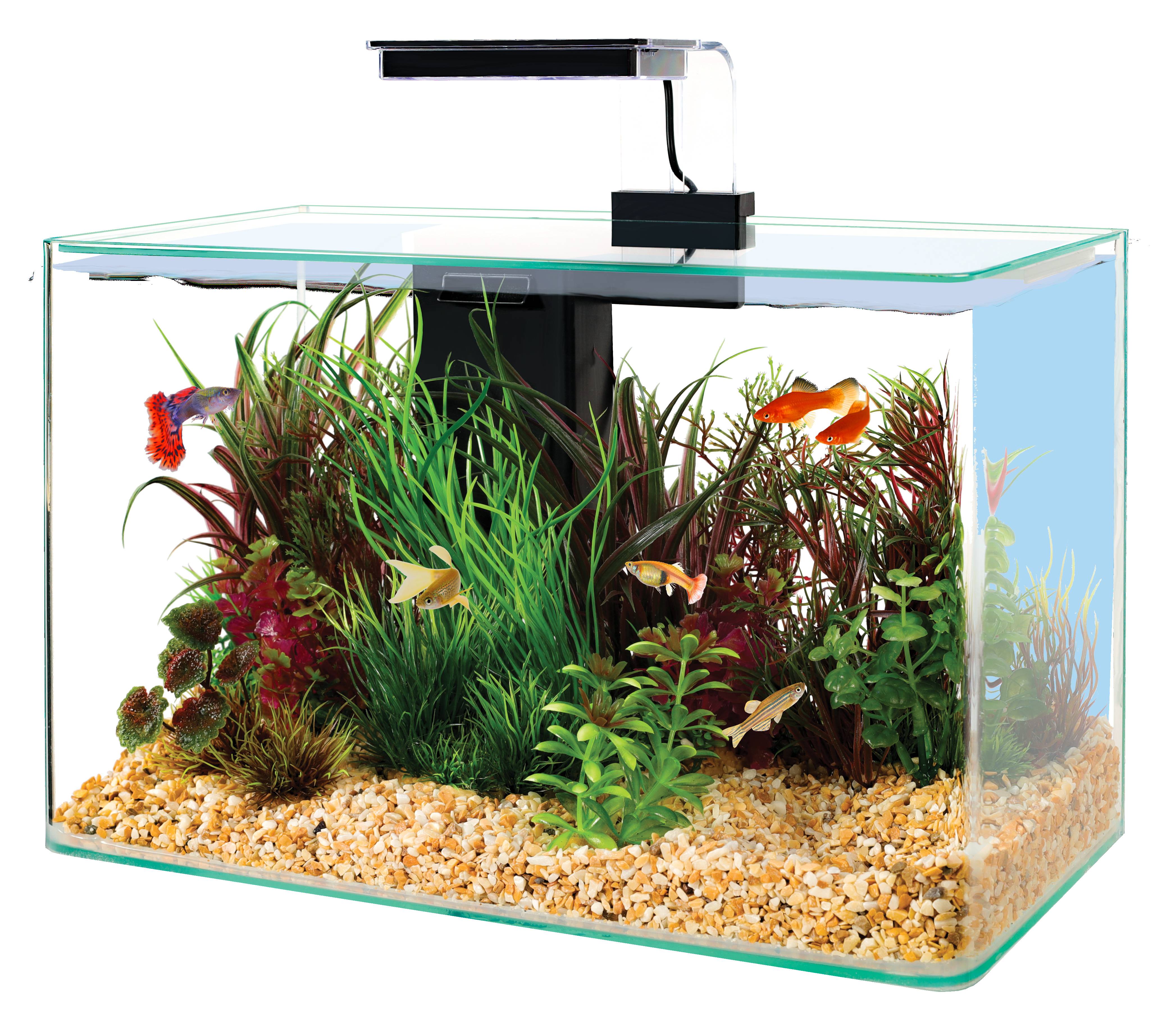 Zolux - Kit aquarium verre noir – ZOLUX
