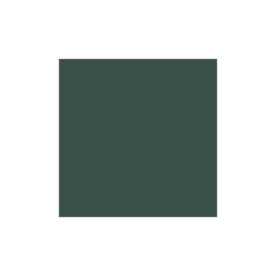 Peinture multi supports vert mousse satin 0,5 L - OXI - Image 1