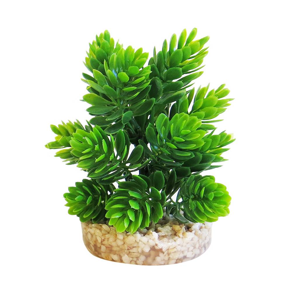 Décoration Plantes Vertes Support – SYDECO - Imagen 1