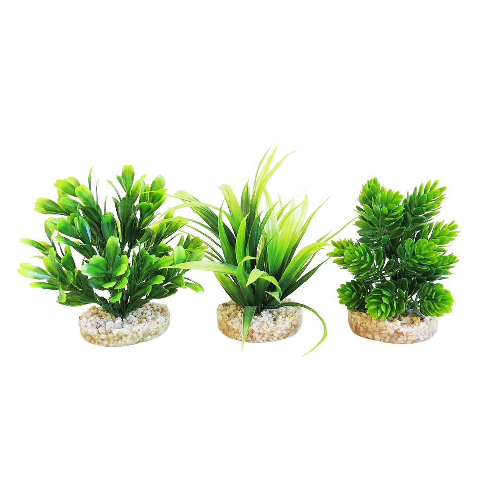 Décoration Plantes Vertes Support – SYDECO - Imagen 2