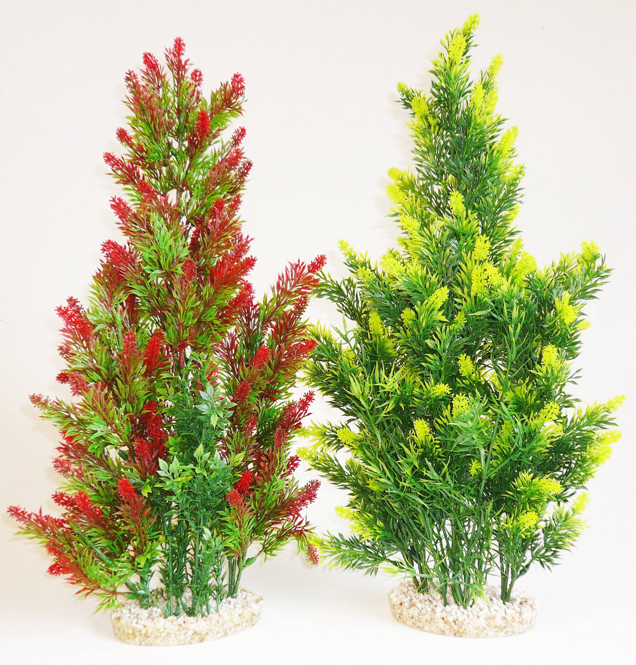 Aquaplante pour Aquarium – TYROL
